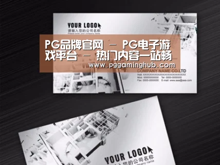 项目名称五