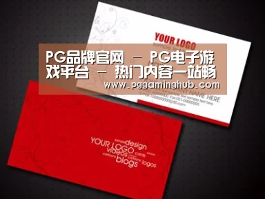 项目名称八