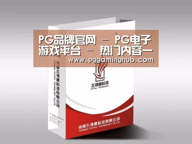 项目名称十三