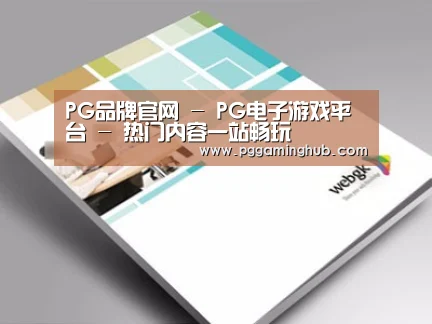 项目名称九