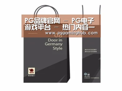 项目名称十四