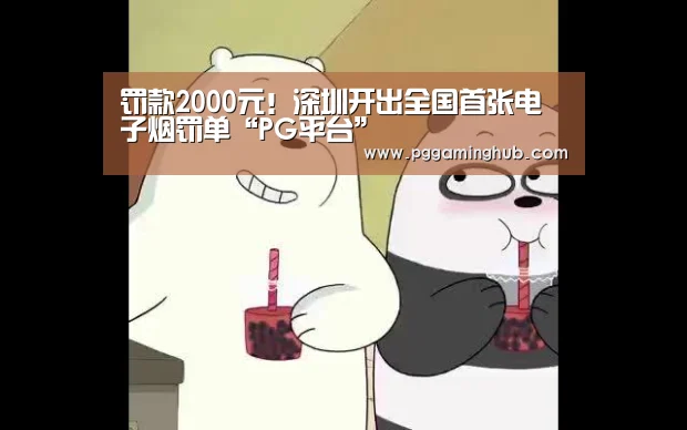 罚款2000元!深圳开出全国首张电子烟罚单“PG平台”(图2) PG游戏