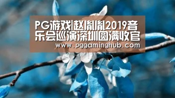 PG游戏|赵胤胤2019音乐会巡演深圳圆满收官 演绎传承古典音乐之美(图2) PG游戏