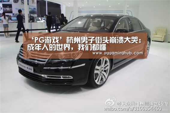 PG游戏