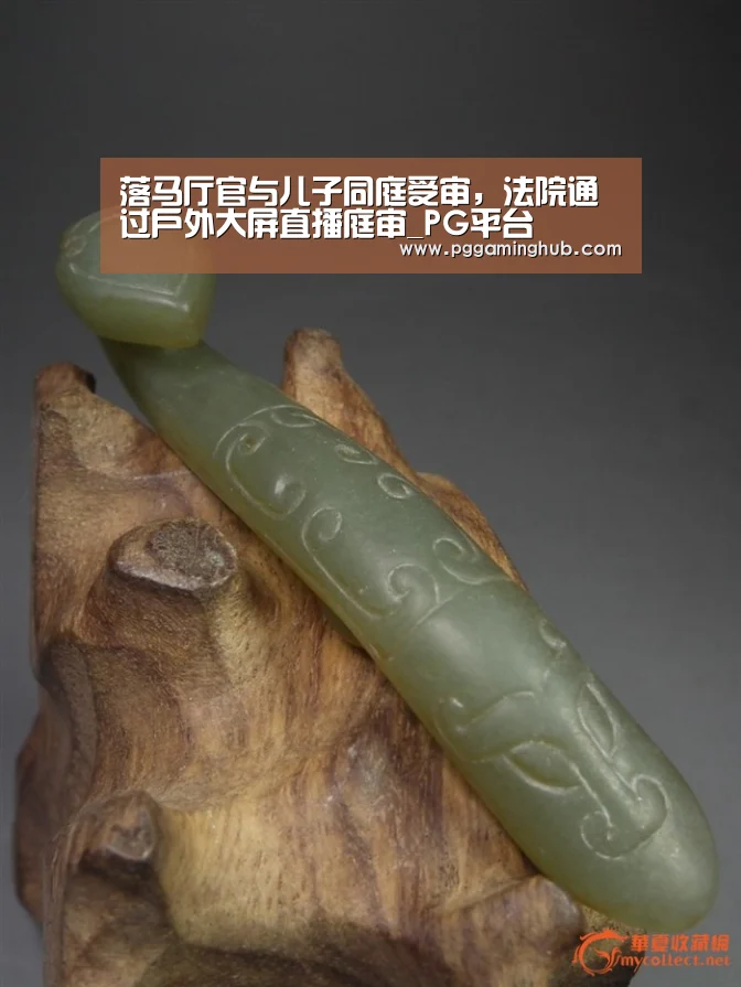 落马厅官与儿子同庭受审,法院通过户外大屏直播庭审_PG平台(图1) PG畅玩