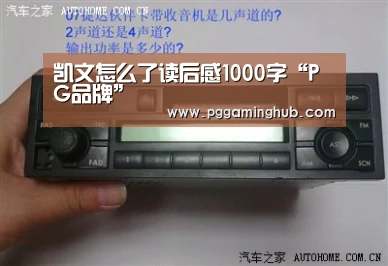 凯文怎么了读后感1000字“PG品牌”(图1) PG畅玩